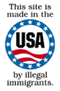 madeinusa.gif (3605 bytes)